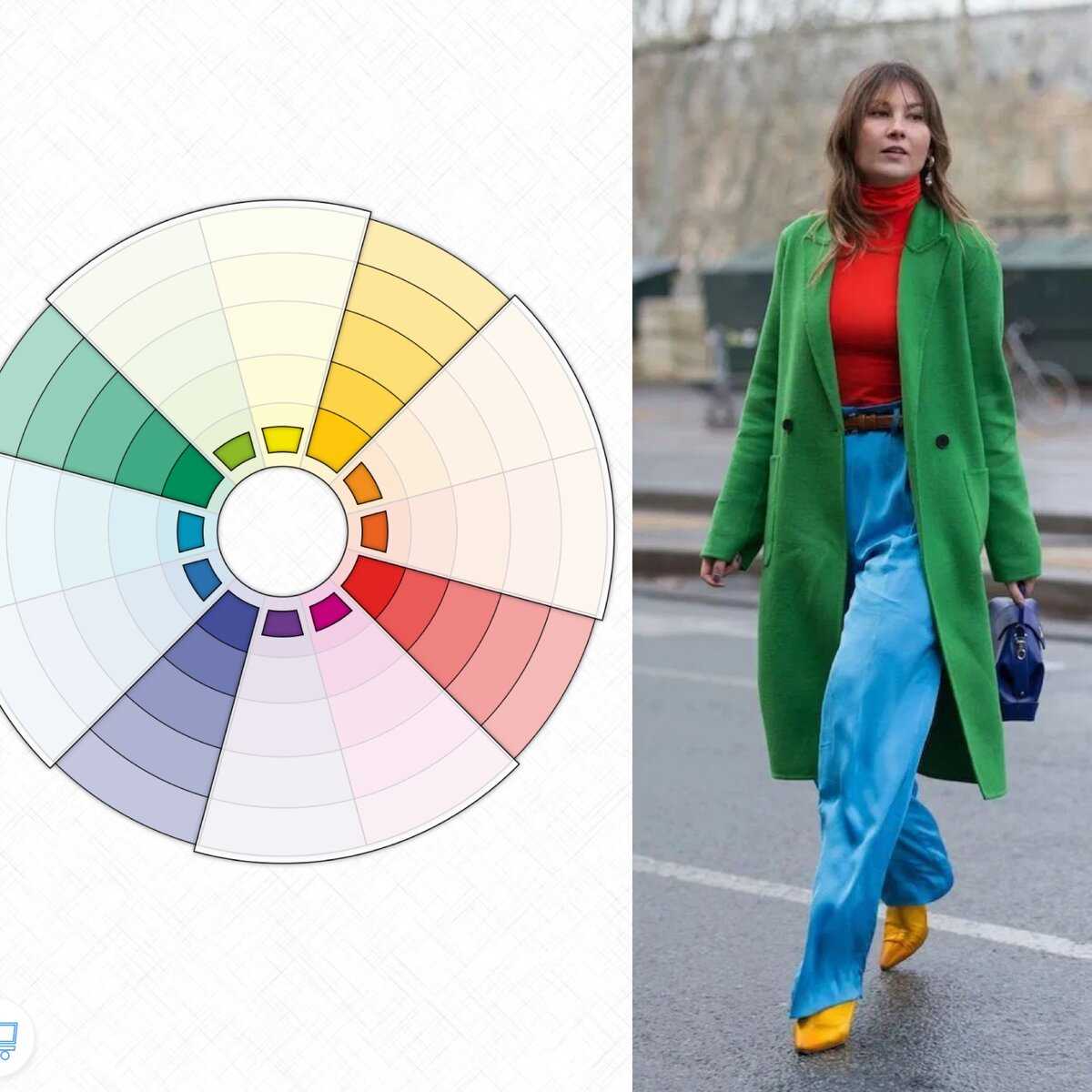 Цветовой круг сочетание цветов в одежде фото