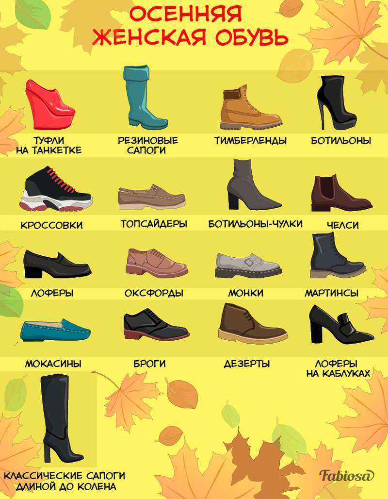 Все виды женских туфель и их названия