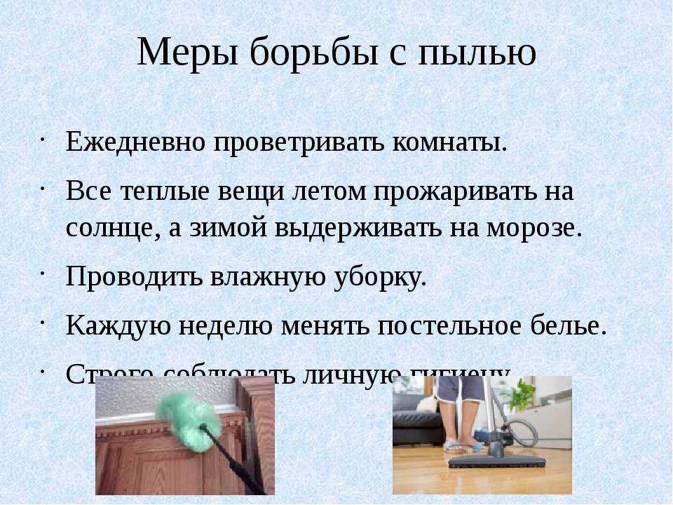 Чем расчесать овечью шкуру. как почистить овечью шкуру в домашних условиях: способы