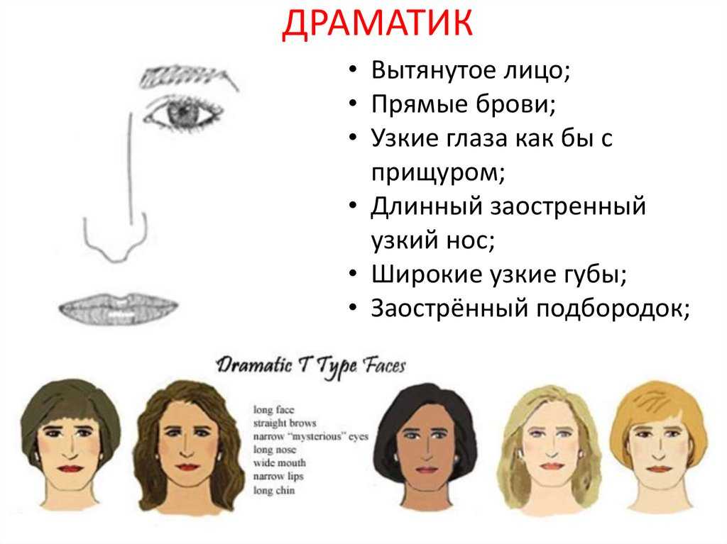 Тест на типажи внешности по кибби. пройти онлайн