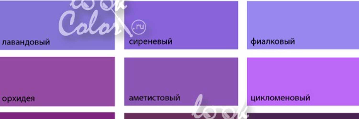 Фиолетовый цвет выбирают люди