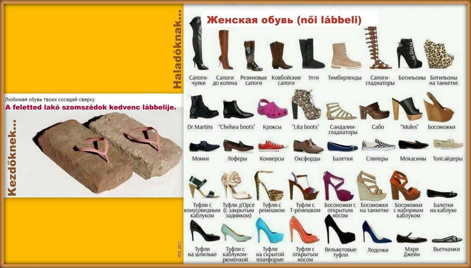 Обувь разновидность названия. Современные названия обуви. Название всей обуви женской. Название туфель женских. Разновидности ботинок женских.