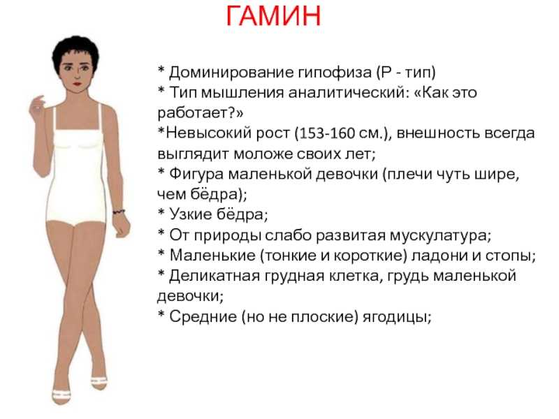 Типажи внешности мужчин и женщин