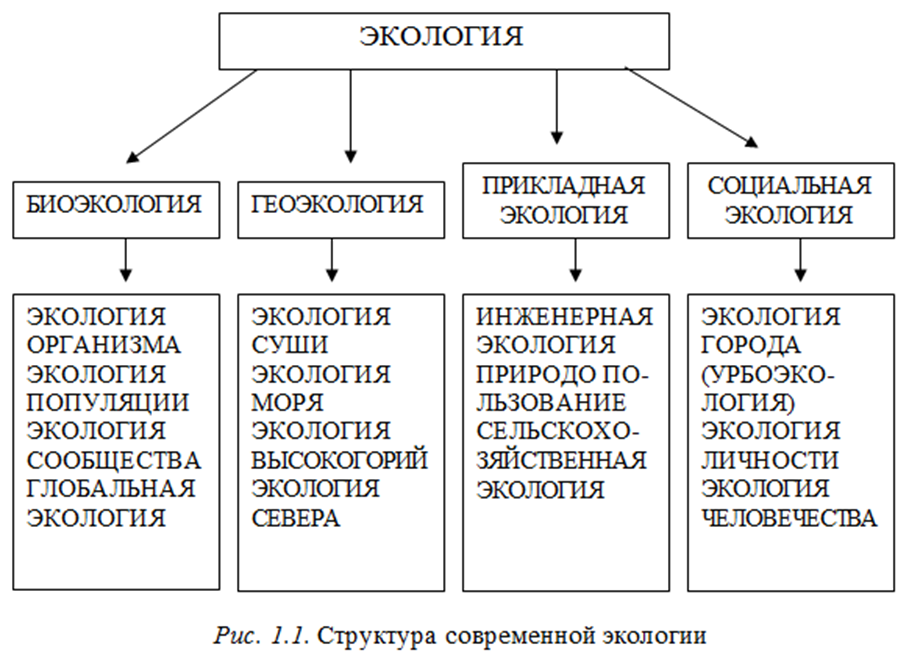 Виды экологических проектов