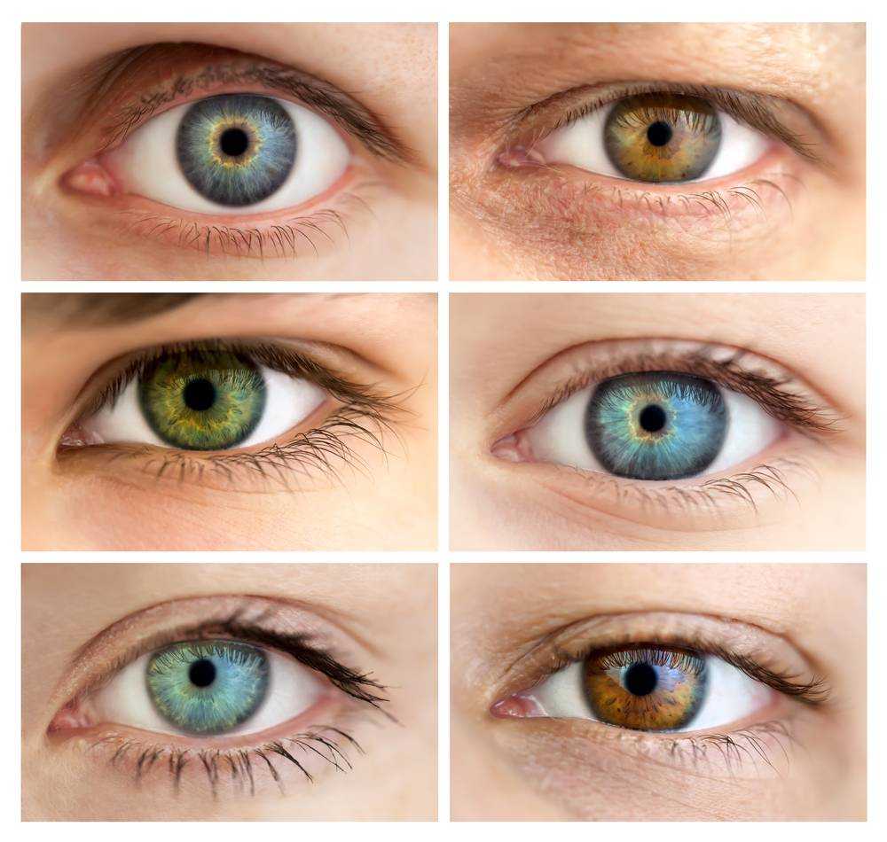 Оттенки зеленых глаз и их названия фото с названиями