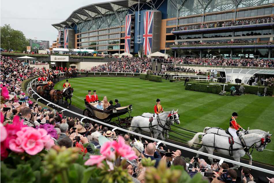 Меган маркл на royal ascot: что нужно знать о самых красивых королевских скачках года. королевские скачки в аскоте брать ли с собой еду для пикника