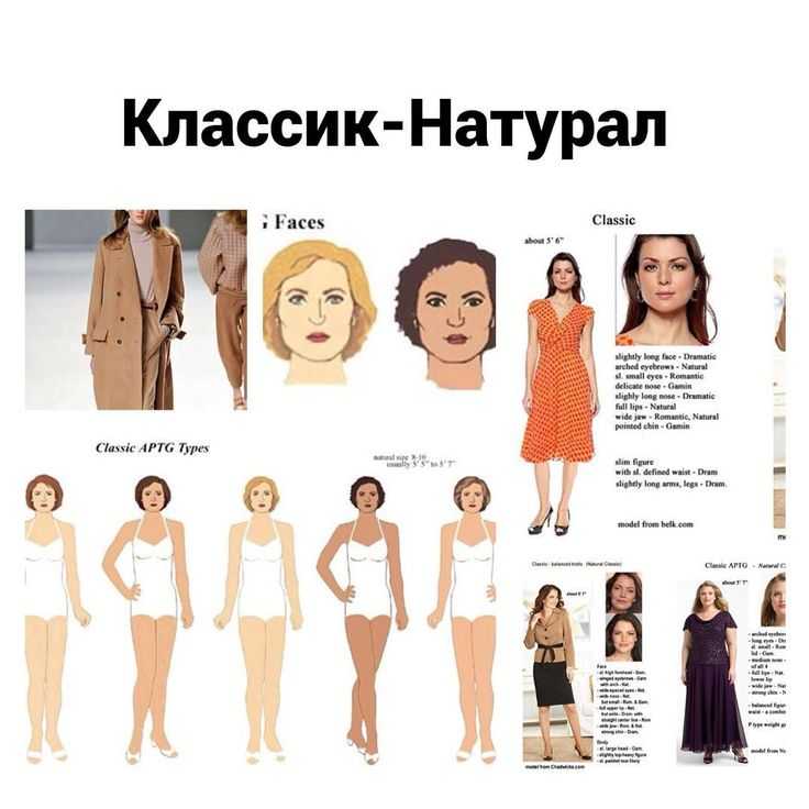 Тип внешность семейства классиков по кибби и ларсон