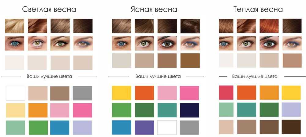 Цветотип весна и ее подтипы: тёплая, светлая, яркая и другие