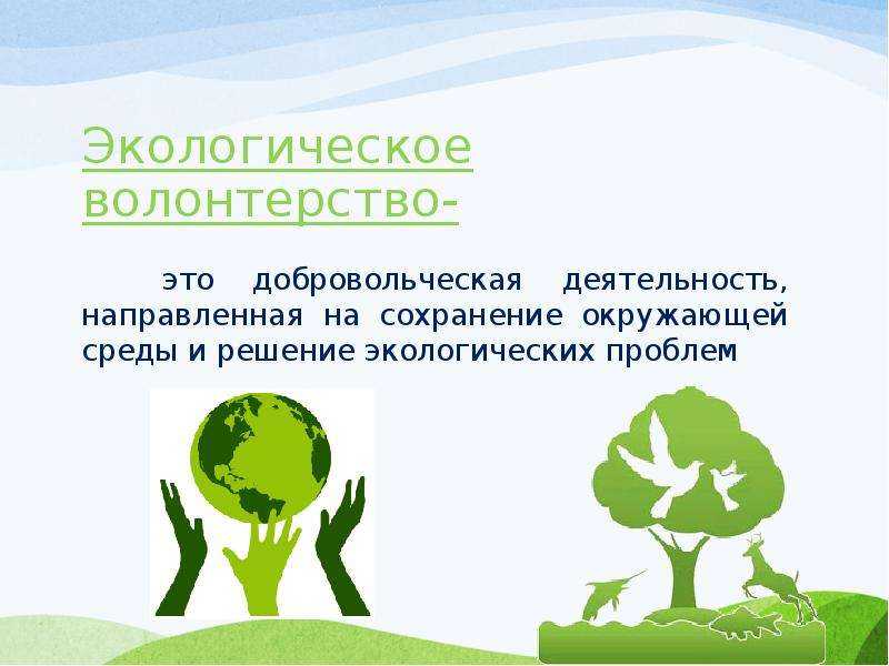 5 историй о развитии брендов и магазинов одежды. читайте на cossa.ru