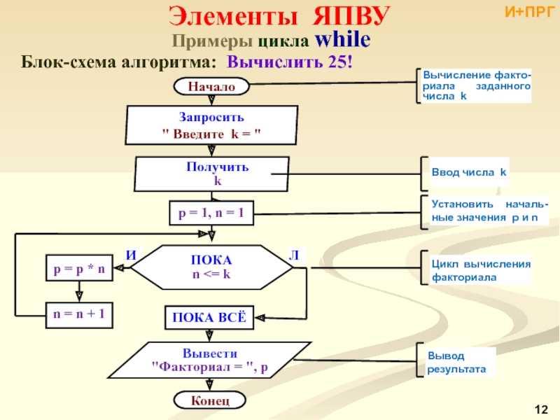 Расположи элементы общей схемы работы алгоритма в правильном порядке исходные данные алгоритм