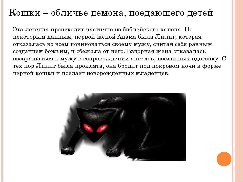 Квадробика черная кошка. Легенды о кошках. Легенда о коте. Легенды и мифы о котах. Предания о кошках.