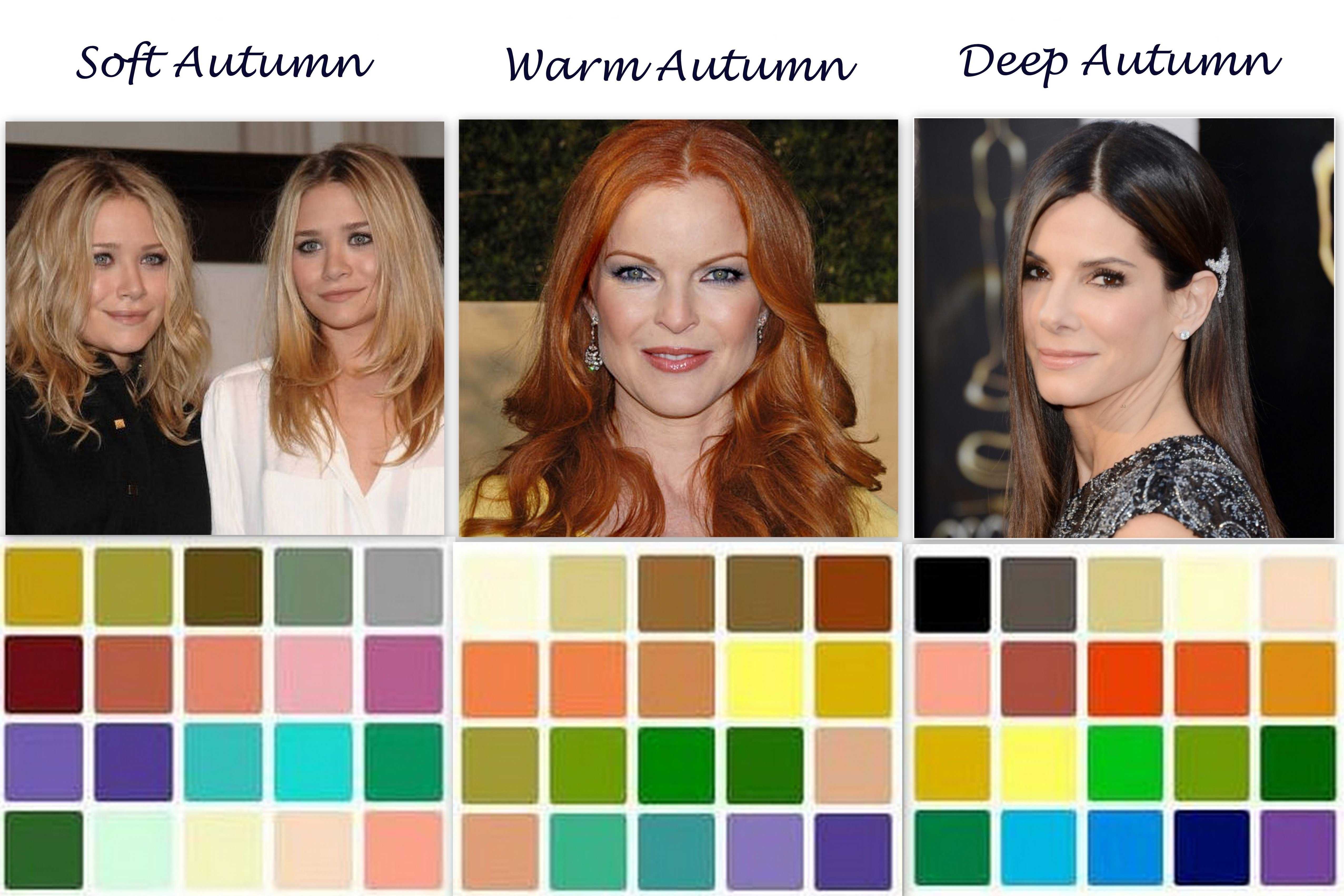 Осень какие цвета подходят. Эми Адамс цветотип. Цветотип внешности осень палитра.