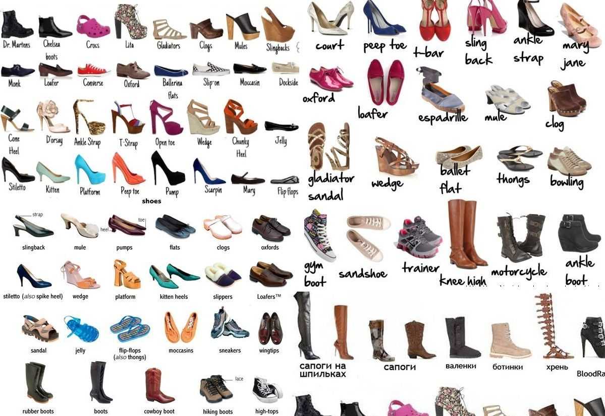 Все виды женских туфель их названия