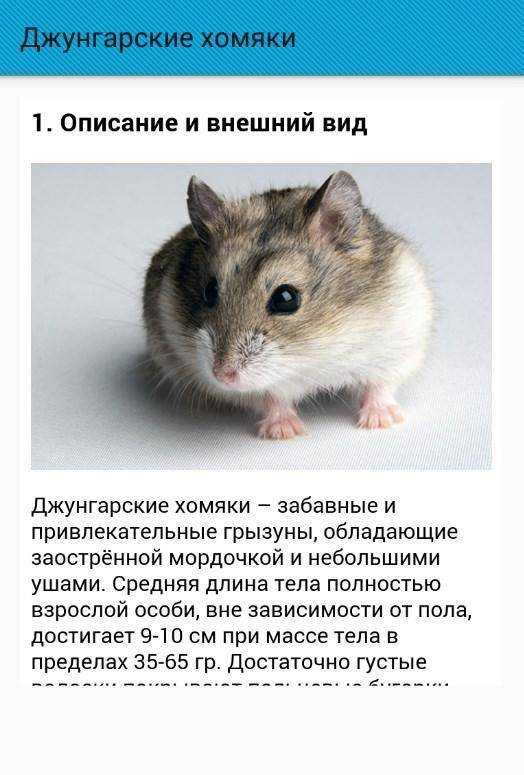 Топ-100 очень странных и оригинальных вещей с алиэкспресс