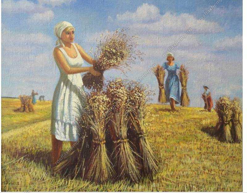 Лен, что это: свойства и характеристики ткани (фото)