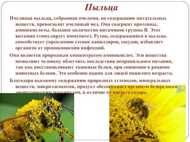Фитоэстрогены для женщин – гормоны в препаратах, продуктах и травах