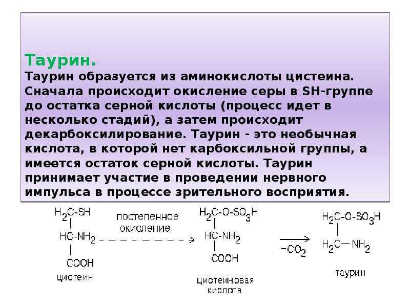 Синтез таурина