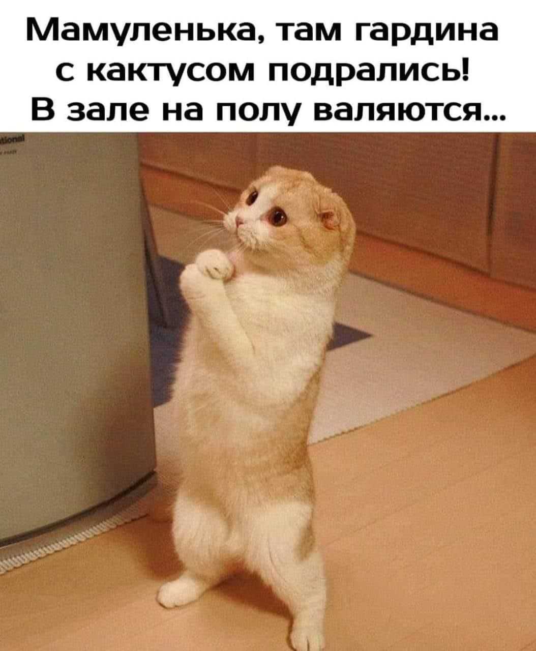 798+ открыток "с новым 2023 годом" - картинки с поздравлениями