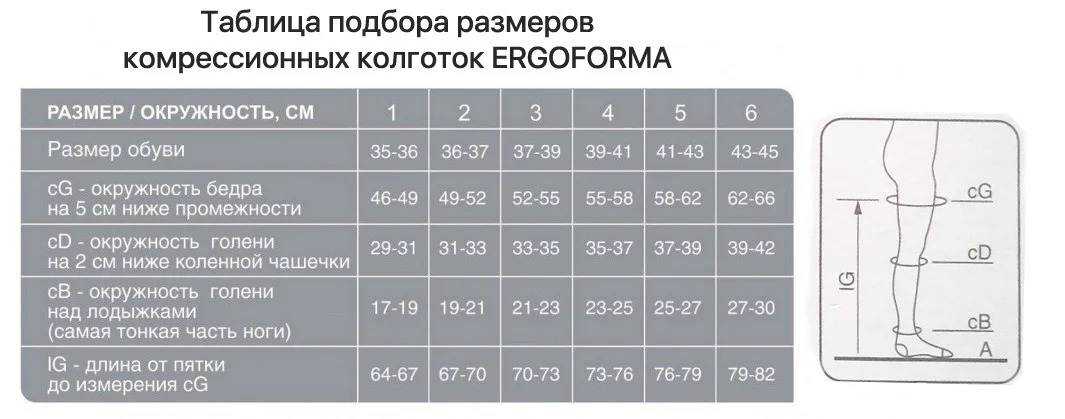 Как правильно выбрать размер колготок и чулок omsa