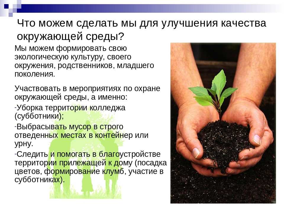 Что носят скинхэды: бренды одежды для бритоголовых