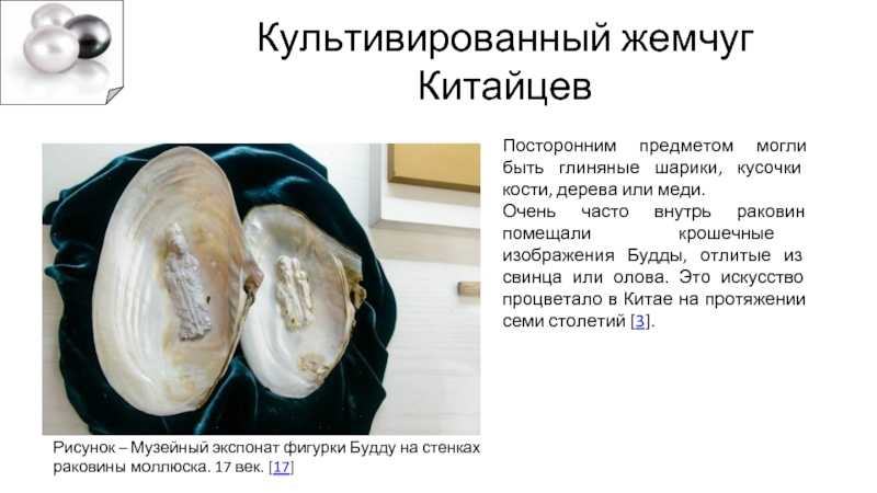 Ювелирные гиганты: «mikimoto»