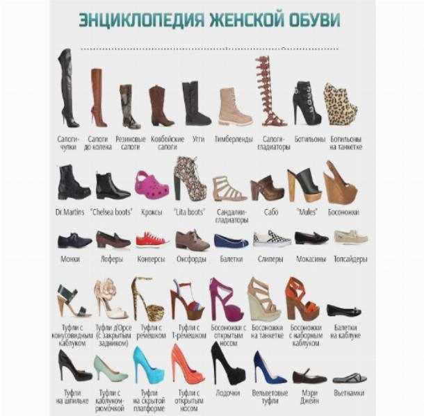 Названия женских туфель