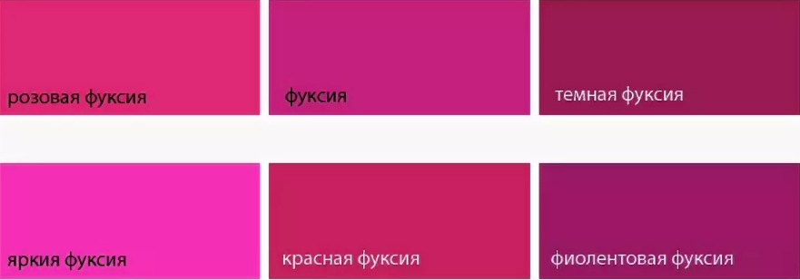 Viva magenta: главный цвет 2023 года