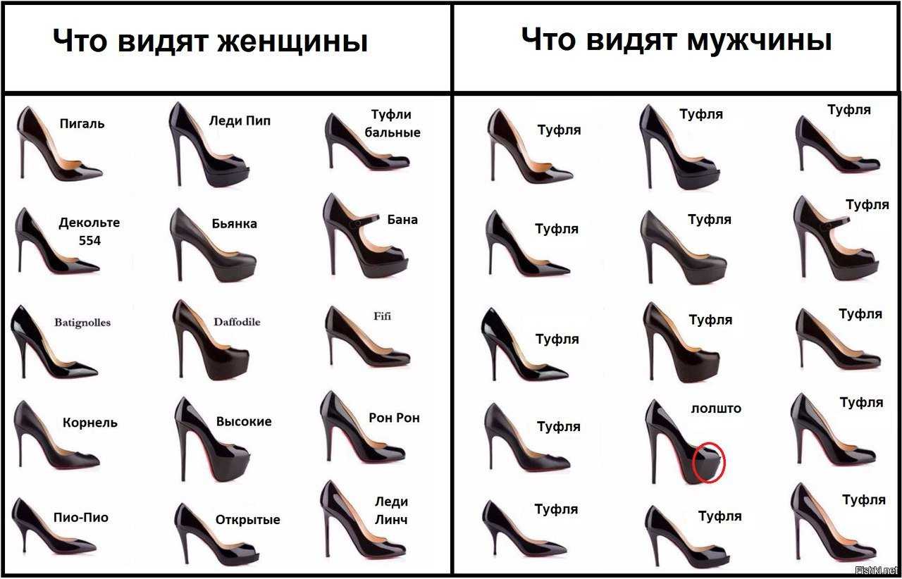 Как мужчины видят цвета. Виды туфель женских. Виды каблука у женской обуви. Туфли на каблуке названия. Названия женских каблуков.