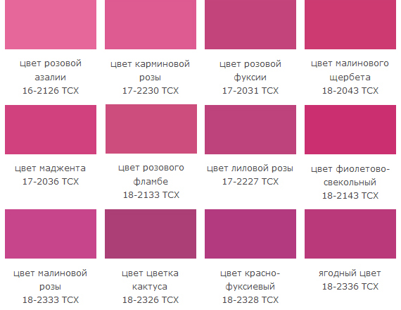 Поможет создать и яркий, и выдержанный образ: с какими оттенками сочетать в своем луке viva magenta - самый модный цвет 2023 года