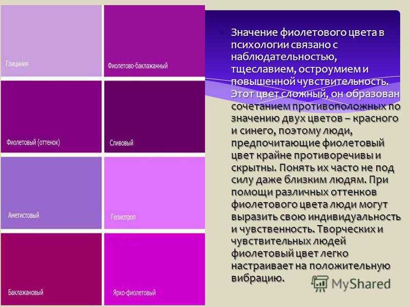 Сиреневый и фиолетовый цвет сравнить фото