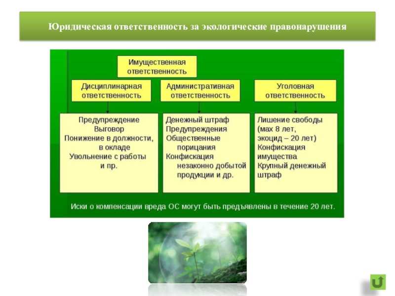 5 историй о развитии брендов и магазинов одежды