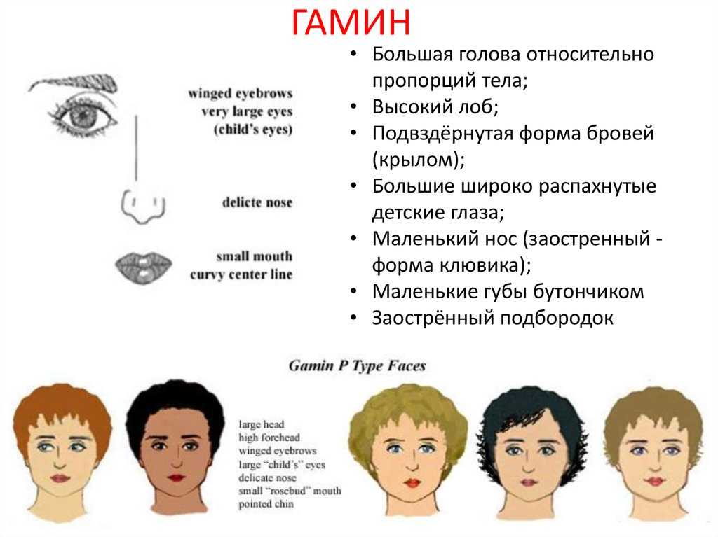 Теория дэвида кибби